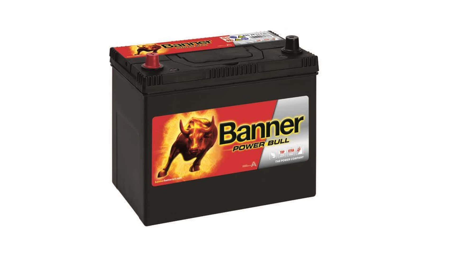 Banner Power Bull P4524 Autobatterie