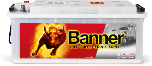 12V 170Ah 1000A Banner Buffalo Bull SHD 67033 LKW Batterie