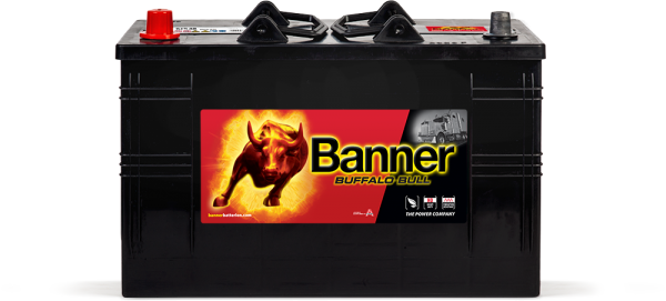 12V 110Ah 800A Banner Buffalo Bull 61048 HD LKW Batterie