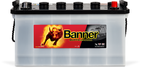 12V 100Ah 600A Banner Buffalo Bull 60026 HD LKW Batterie